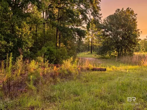 0 Doyle Morgan Rd, Samson, AL 36477 photo 21