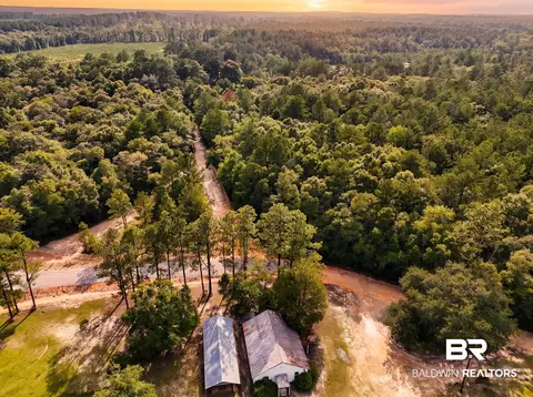 0 Doyle Morgan Rd, Samson, AL 36477 photo 17
