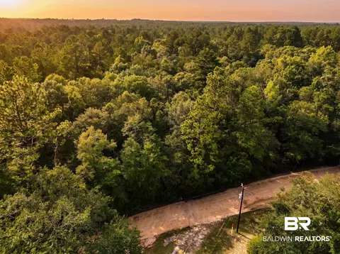 0 Doyle Morgan Rd, Samson, AL 36477 photo 20