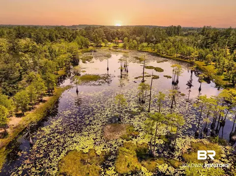 0 Doyle Morgan Rd, Samson, AL 36477 photo 3