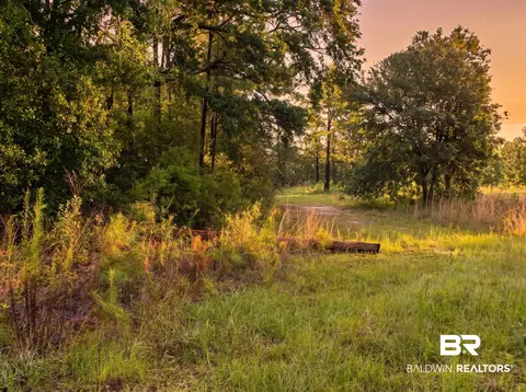 0 Doyle Morgan Rd, Samson, AL 36477 photo 21