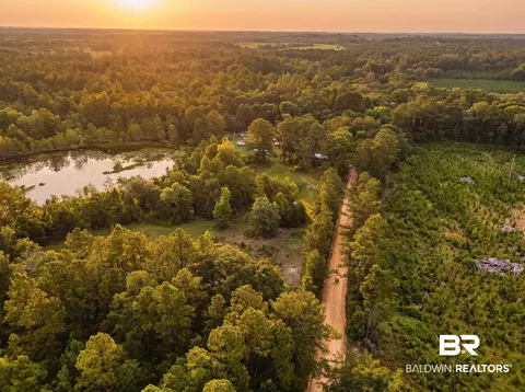 0 Doyle Morgan Rd, Samson, AL 36477 photo 8