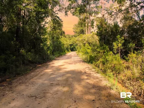 0 Doyle Morgan Rd, Samson, AL 36477 photo 13