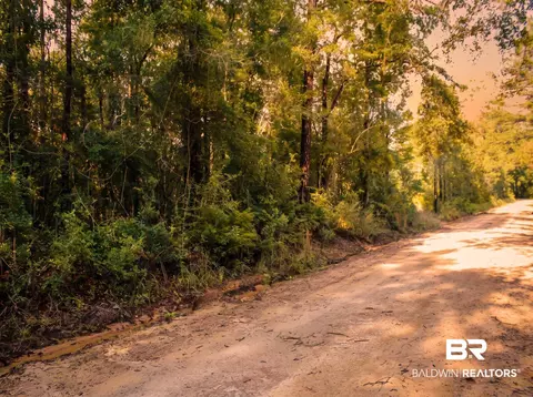 0 Doyle Morgan Rd, Samson, AL 36477 photo 16