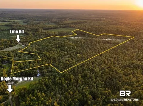 0 Doyle Morgan Rd, Samson, AL 36477 photo 6