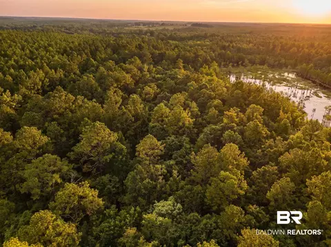 0 Doyle Morgan Rd, Samson, AL 36477 photo 9