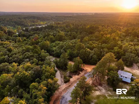 0 Doyle Morgan Rd, Samson, AL 36477 photo 19