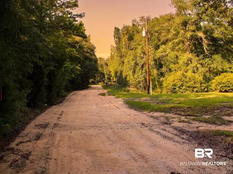 0 Doyle Morgan Rd, Samson, AL 36477 photo 12