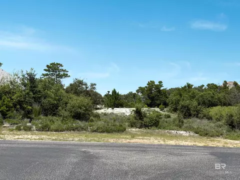 30577 Ono North Loop W, Orange Beach, AL 36561