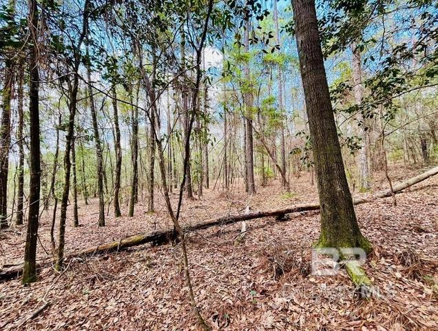 002 Phillipsville Rd, Bay Minette, AL 36507
