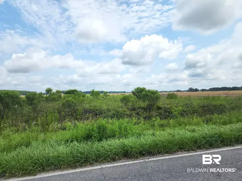 0 E Sunset Dr, Atmore, AL 36502 photo 13