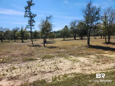 0 Strasbourg Ln, Elberta, AL 36560 photo 2