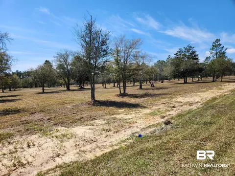 0 Strasbourg Ln, Elberta, AL 36560 photo 3