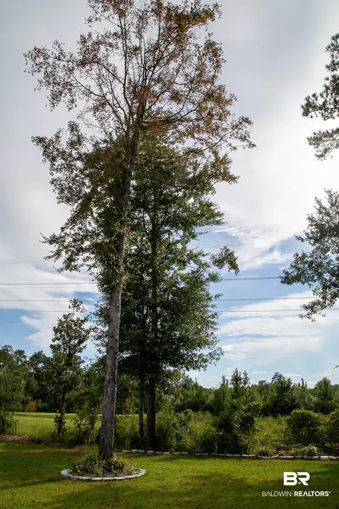 9505 Vargas Ct, Daphne, AL 36526 photo 60