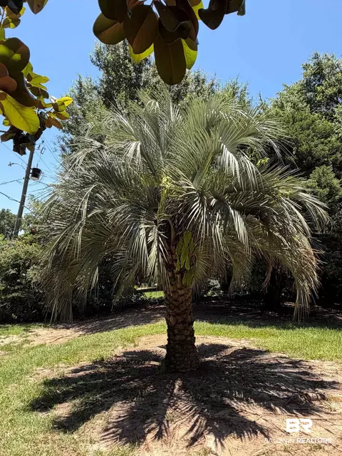 121 Windsor Dr, Daphne, AL 36526 photo 7