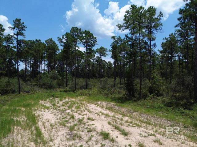 00 Kings Landing Rd, Seminole, AL 36574