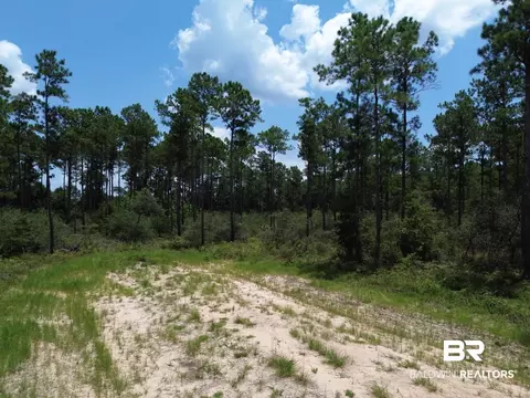 00 Kings Landing Rd, Seminole, AL 36574