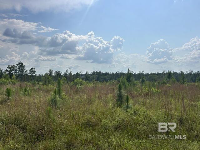 0 Bradley Rd, Brewton, AL 36426