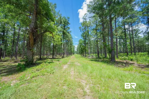 0 Hurricane Rd, Bay Minette, AL 36507