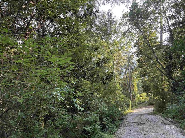 1 62 Acres Sweet Magnolia Ln, Magnolia Springs, AL 36555