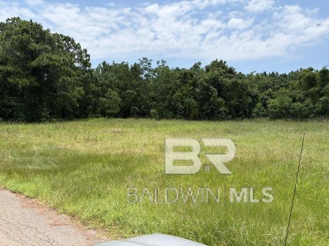 16818 Patricia Dr, Gulf Shores, AL 36542