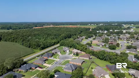 View/Area - 9367 Collier Loop, Daphne, AL 36526 photo 9 of 9