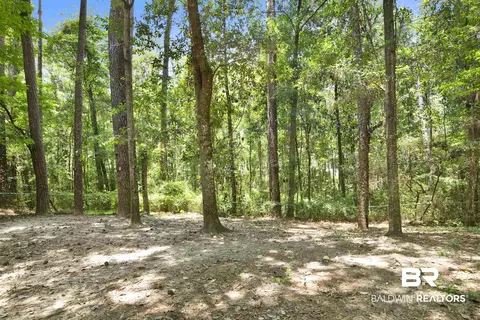 227 Montclair Loop, Daphne, AL 36526 photo 25