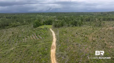 0 Phillips Rd, Stapleton, AL 36578 photo 9