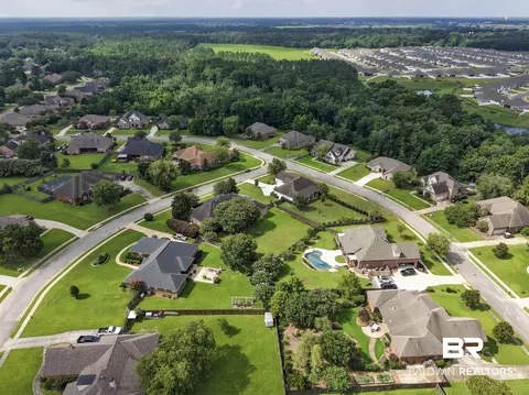 View/Area - 11261 Halcyon Loop, Daphne, AL 36526 photo 4 of 7