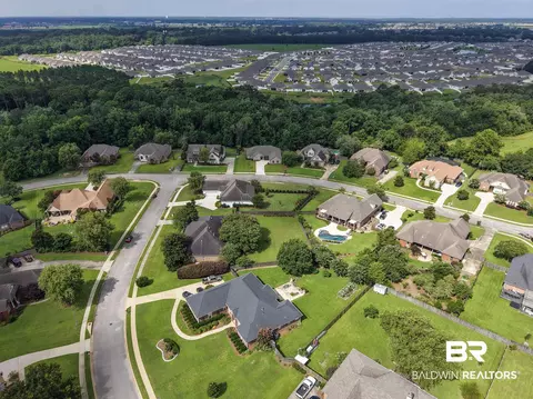 View/Area - 11261 Halcyon Loop, Daphne, AL 36526 photo 3 of 7