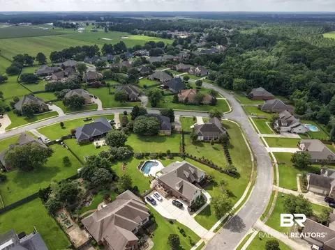 View/Area - 11261 Halcyon Loop, Daphne, AL 36526 photo 5 of 7