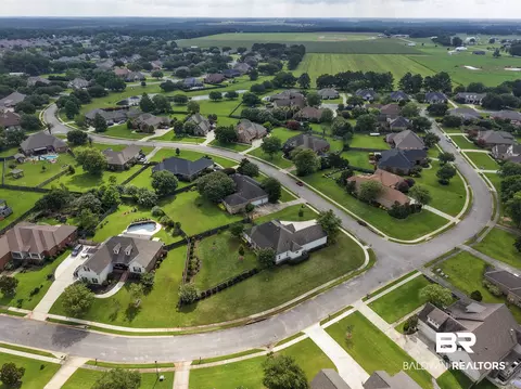 View/Area - 11261 Halcyon Loop, Daphne, AL 36526 photo 6 of 7