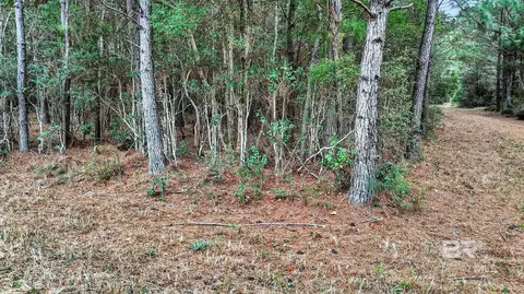 0 Hemley Rd, Coden, AL 36523 photo 5