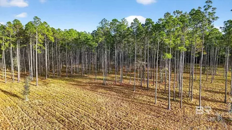 0 Hemley Rd, Coden, AL 36523 photo 28