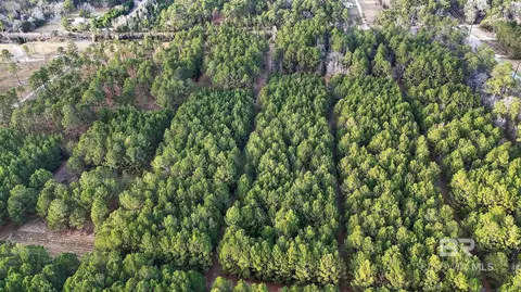0 Hemley Rd, Coden, AL 36523 photo 19