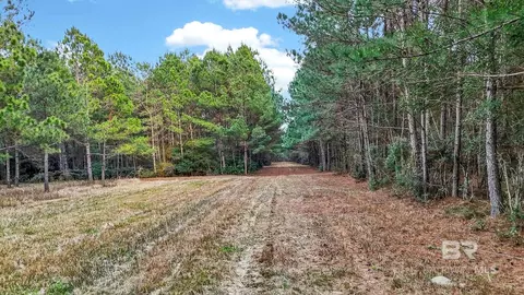 0 Hemley Rd, Coden, AL 36523 photo 11