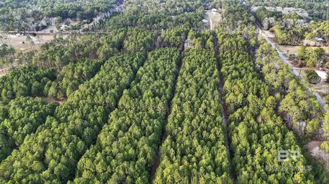 0 Hemley Rd, Coden, AL 36523 photo 18