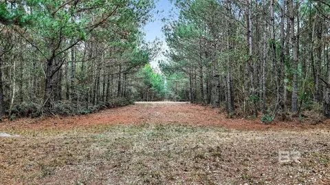 0 Hemley Rd, Coden, AL 36523 photo 10