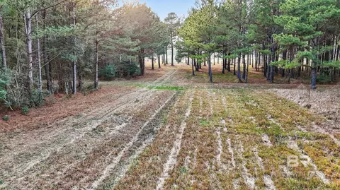 0 Hemley Rd, Coden, AL 36523 photo 17