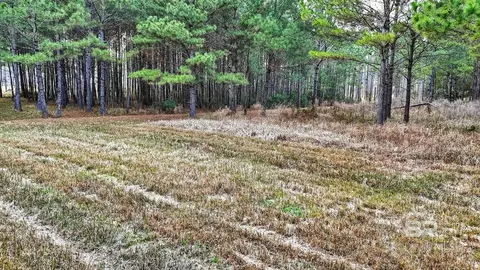 0 Hemley Rd, Coden, AL 36523 photo 6