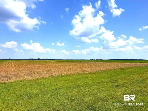 6000 Doran Rd, Mcdavid, FL 32568 photo 31