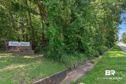 0 Mcfarland Rd, Mobile, AL 36695 photo 6