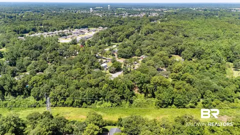 0 Mcfarland Rd, Mobile, AL 36695 photo 13