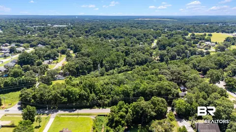 0 Mcfarland Rd, Mobile, AL 36695 photo 9