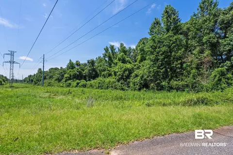 0 Mcfarland Rd, Mobile, AL 36695 photo 5