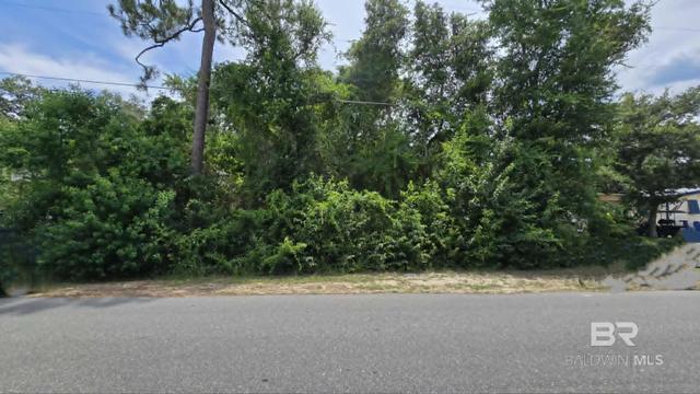 0 Florida Ave, Orange Beach, AL 36561