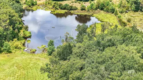 View/Area - 13151 Roberts Rd, Chunchula, AL 36521 photo 3 of 6