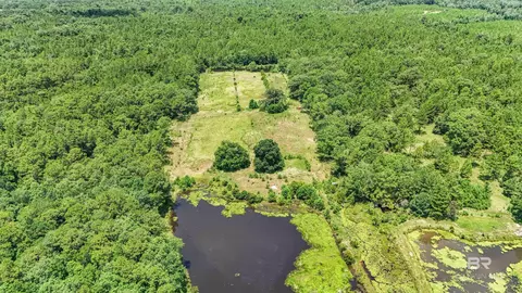 View/Area - 13151 Roberts Rd, Chunchula, AL 36521 photo 5 of 6