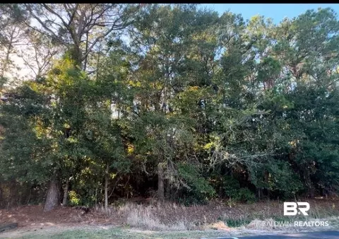 0 Higgins Rd, Mobile, AL 36619 photo 2