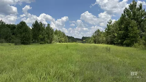 0 Bluett Tanner Rd, Wilmer, AL 36587
